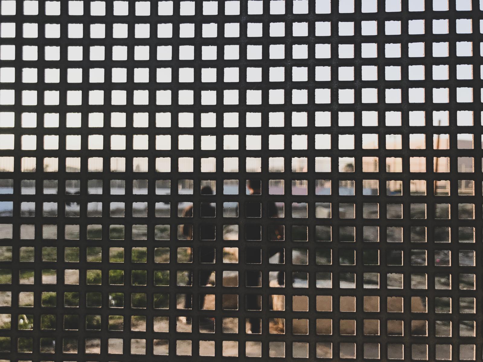 צילום: תימאא אלטורי